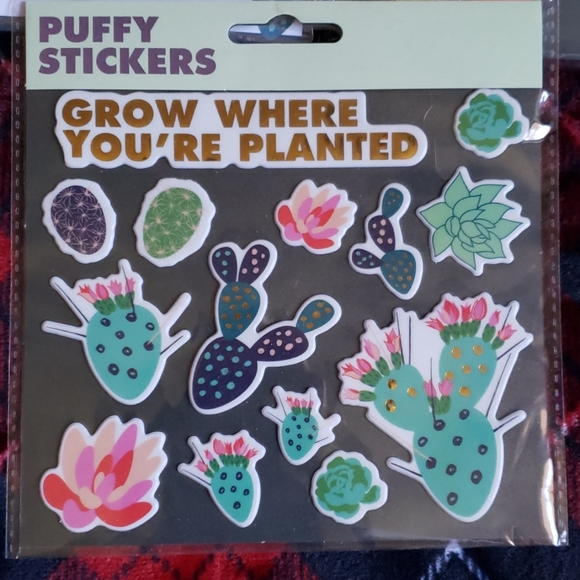 Cactus/Succulent Stationary Bundle - Picture 2 of 6